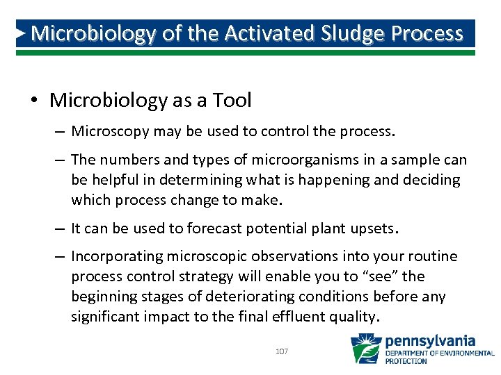 Microbiology of the Activated Sludge Process • Microbiology as a Tool – Microscopy may