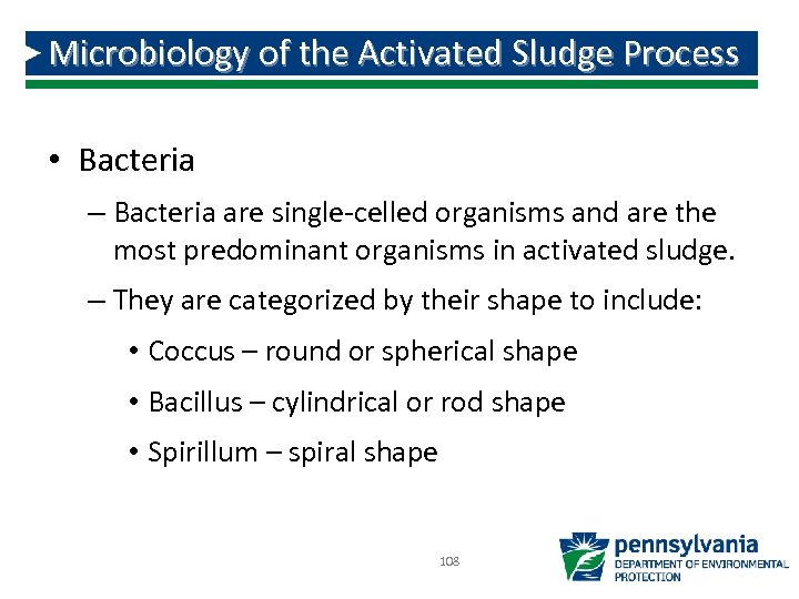 Microbiology of the Activated Sludge Process • Bacteria – Bacteria are single-celled organisms and