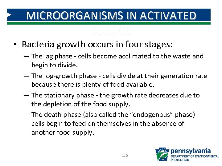MICROORGANISMS IN ACTIVATED SLUDGE • Bacteria growth occurs in four stages: – The lag