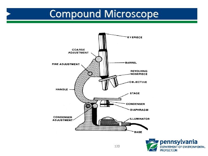 Compound Microscope 120 
