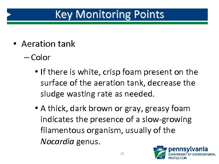 Key Monitoring Points • Aeration tank – Color • If there is white, crisp