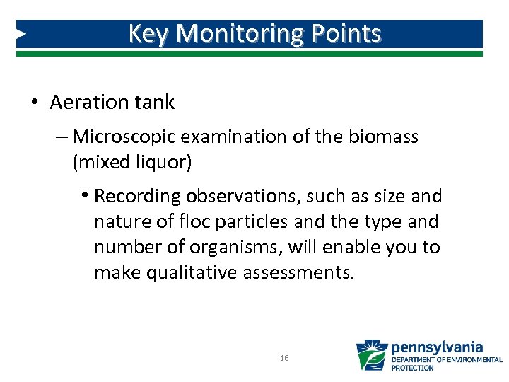 Key Monitoring Points • Aeration tank – Microscopic examination of the biomass (mixed liquor)