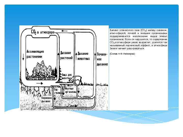Баланс углекислого газа (СО 2) между океаном, атмо-сферой, почвой и живыми организмами поддержива-ется миллионами