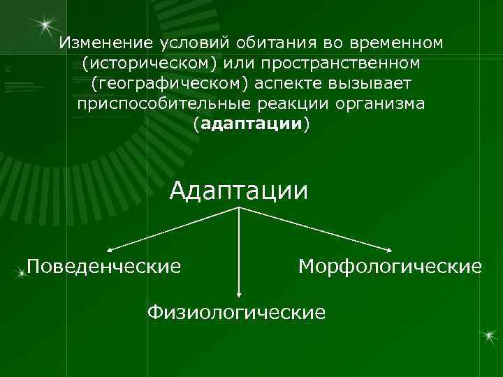 Изменение условий обитания во временном (историческом) или пространственном (географическом) аспекте вызывает приспособительные реакции организма