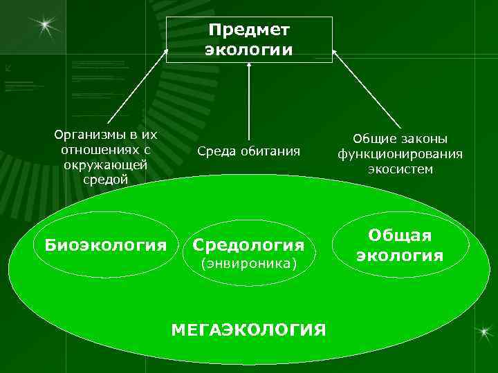 Предмет экологии Организмы в их отношениях с окружающей средой Среда обитания Общие законы функционирования
