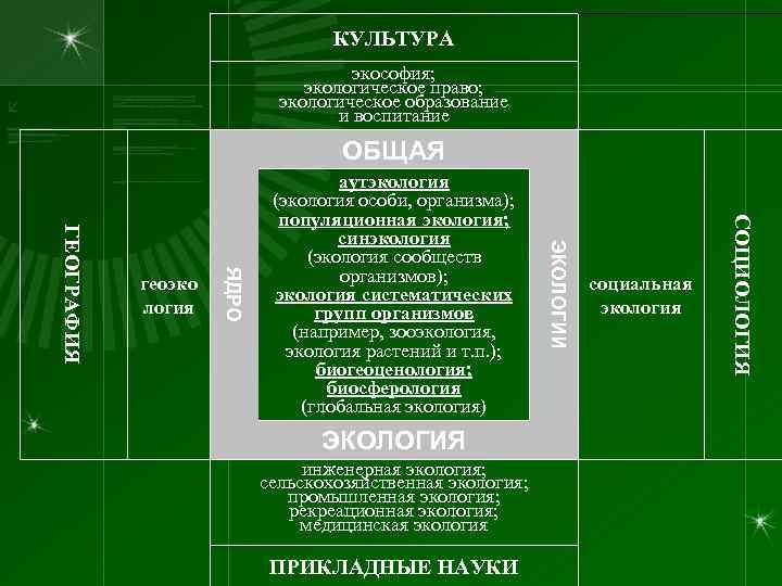 КУЛЬТУРА экософия; экологическое право; экологическое образование и воспитание ОБЩАЯ социальная экология ЭКОЛОГИЯ инженерная экология;