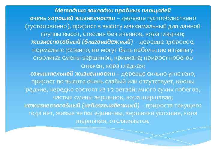 Методика закладки пробных площадей очень хорошей жизненности – деревце густооблиствено (густоохвоено), прирост в высоту