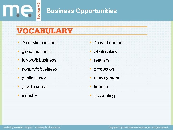 Section 5. 2 Business Opportunities • domestic business • derived demand • global business