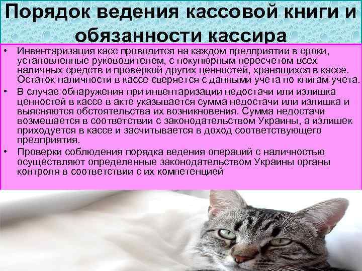 Порядок ведения кассовой книги и обязанности кассира • Инвентаризация касс проводится на каждом предприятии