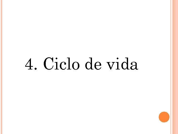 4. Ciclo de vida 