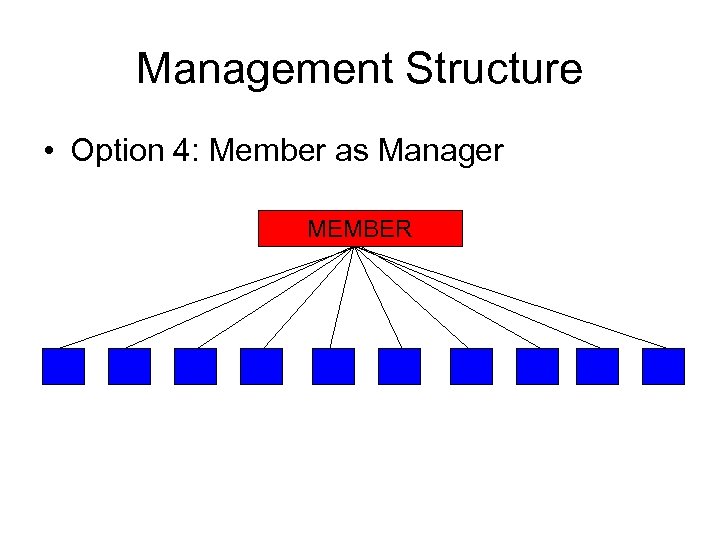 Management Structure • Option 4: Member as Manager MEMBER 