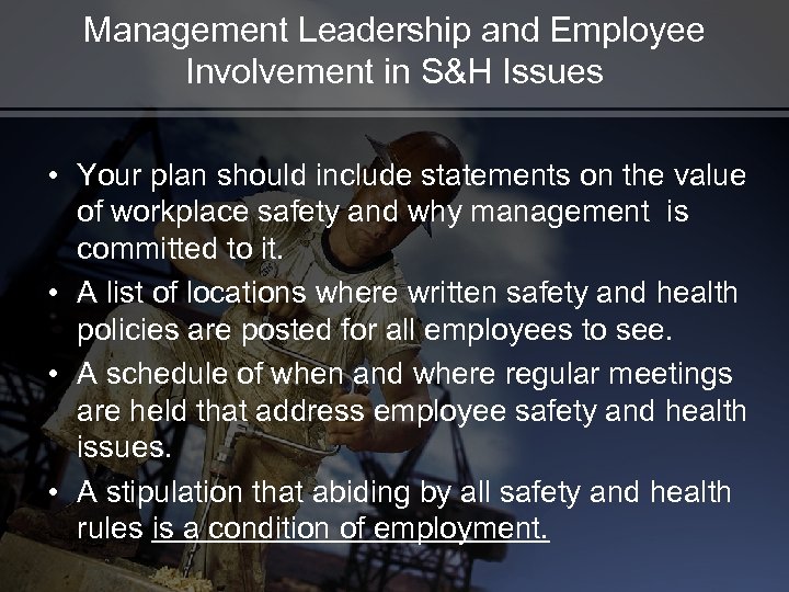 Management Leadership and Employee Involvement in S&H Issues • Your plan should include statements
