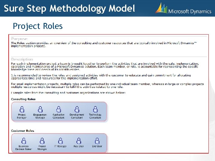 Sure Step Methodology Model Project Roles 