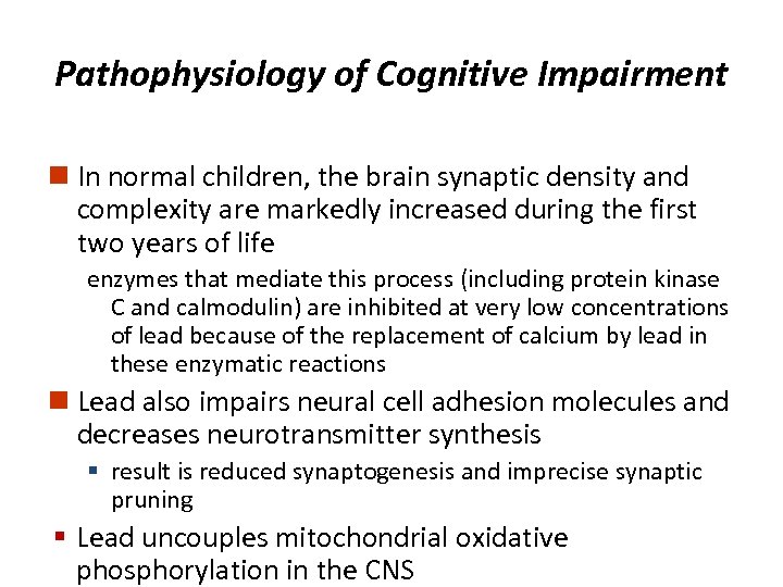 Pathophysiology of Cognitive Impairment n In normal children, the brain synaptic density and complexity