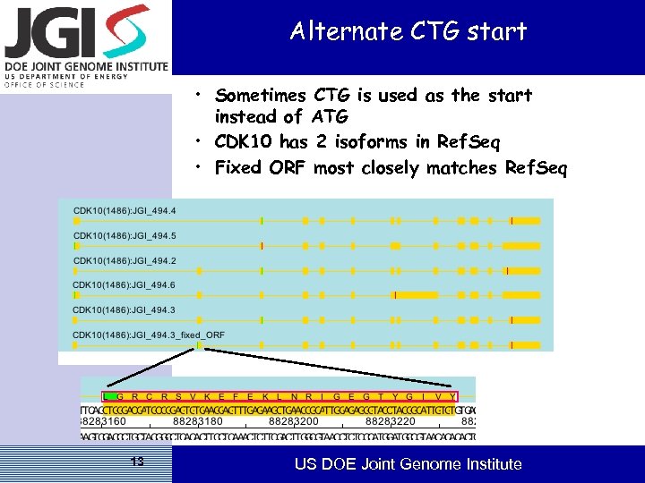 Alternate CTG start • Sometimes CTG is used as the start instead of ATG