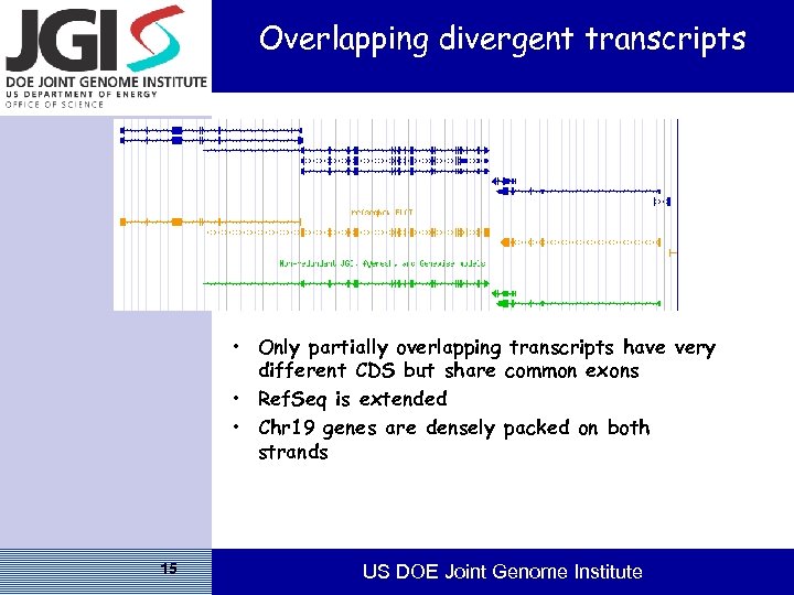 Overlapping divergent transcripts • Only partially overlapping transcripts have very different CDS but share