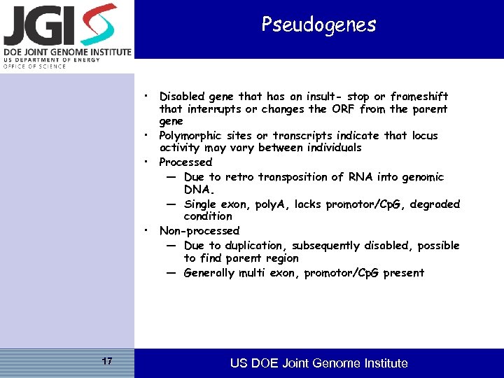 Pseudogenes • Disabled gene that has an insult- stop or frameshift that interrupts or