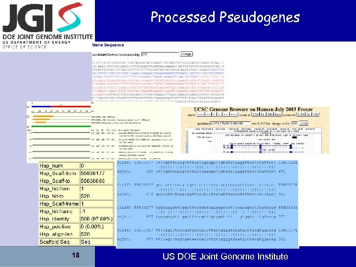 Processed Pseudogenes 18 US DOE Joint Genome Institute 