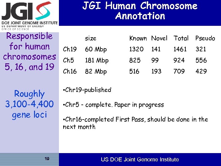 JGI Human Chromosome Annotation Responsible for human chromosomes 5, 16, and 19 Roughly 3,