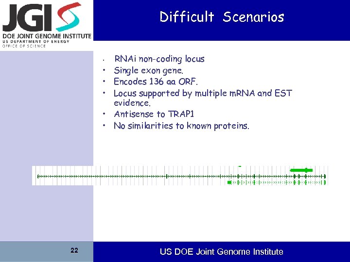 Difficult Scenarios • • • 22 RNAi non-coding locus Single exon gene. Encodes 136