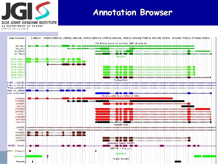 Annotation Browser 7 US DOE Joint Genome Institute 