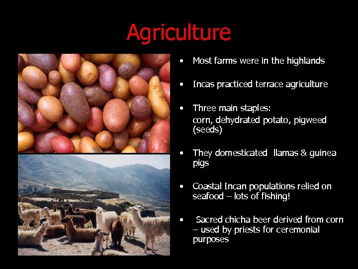 Agriculture • Most farms were in the highlands • Incas practiced terrace agriculture •