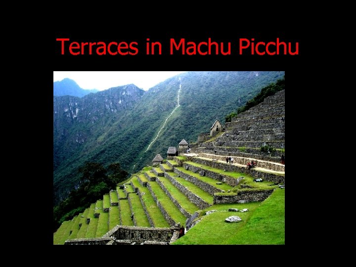 Terraces in Machu Picchu 