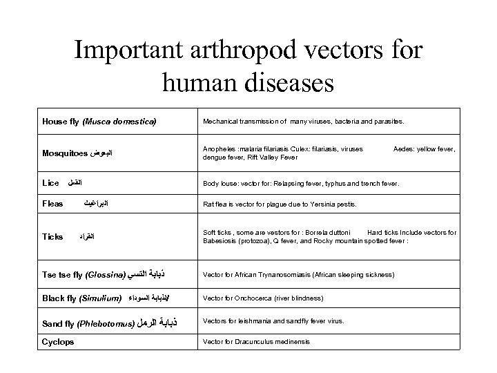 Important arthropod vectors for human diseases House fly (Musca domestica) Mechanical transmission of many