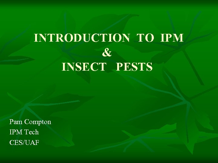 INTRODUCTION TO IPM & INSECT PESTS Pam Compton IPM Tech CES/UAF 