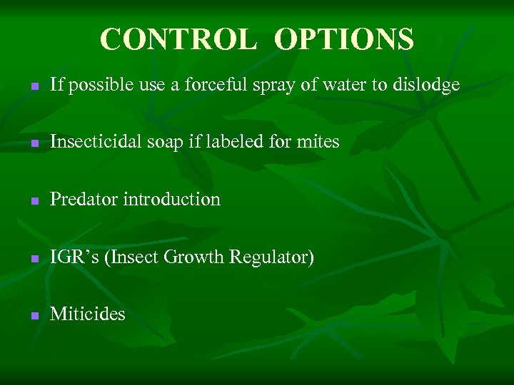 CONTROL OPTIONS n If possible use a forceful spray of water to dislodge n