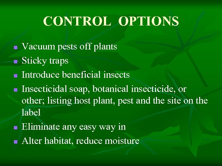 CONTROL OPTIONS n n n Vacuum pests off plants Sticky traps Introduce beneficial insects