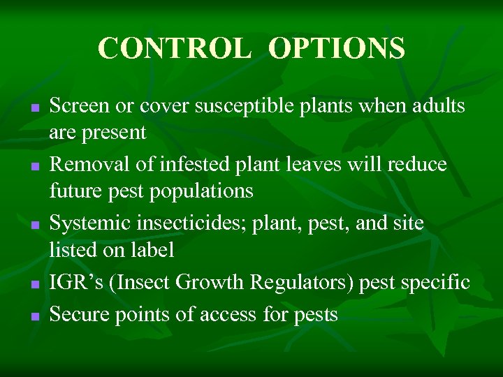 CONTROL OPTIONS n n n Screen or cover susceptible plants when adults are present