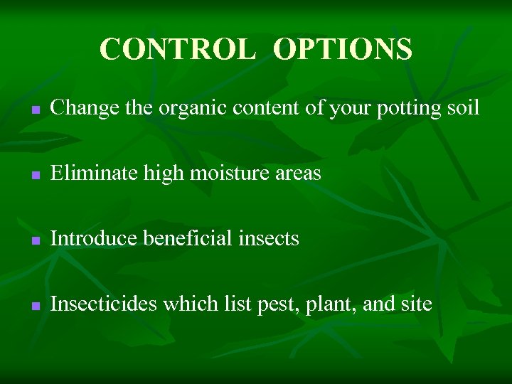 CONTROL OPTIONS n Change the organic content of your potting soil n Eliminate high