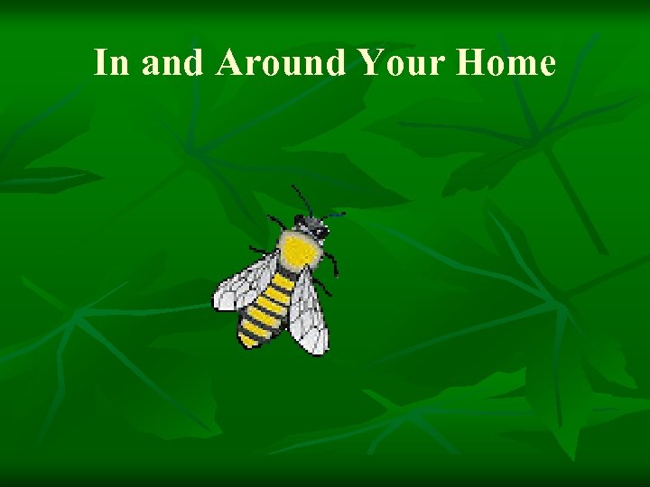 In and Around Your Home 