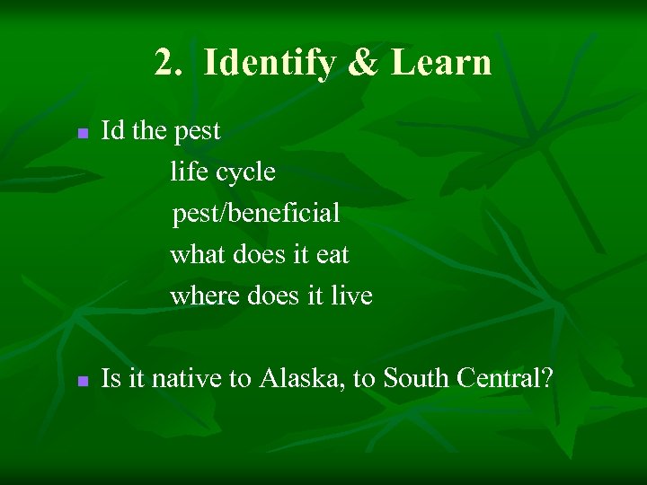 2. Identify & Learn n n Id the pest life cycle pest/beneficial what does