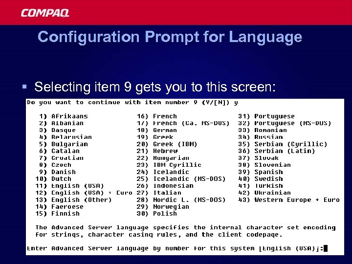 Configuration Prompt for Language § Selecting item 9 gets you to this screen: 31