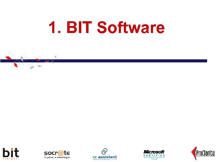 1. BIT Software Revoluţionând procesul de luare a deciziei 