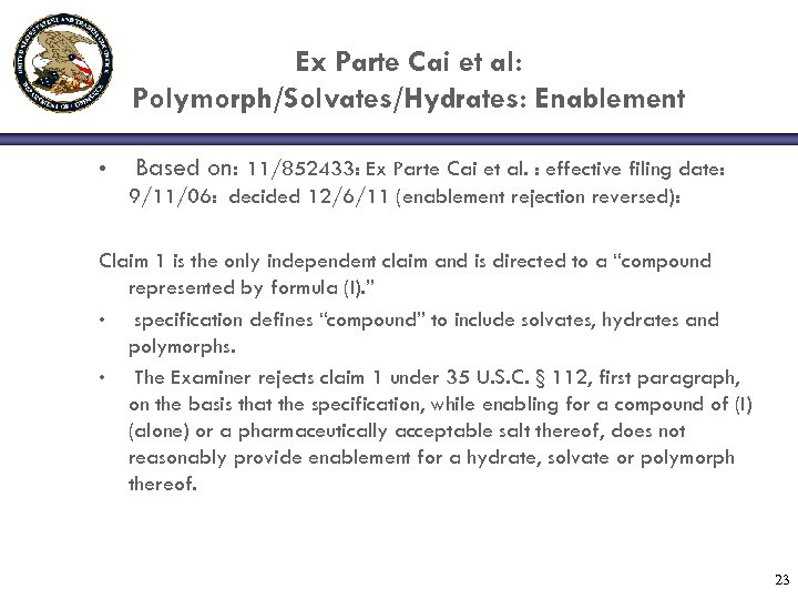 Ex Parte Cai et al: Polymorph/Solvates/Hydrates: Enablement • Based on: 11/852433: Ex Parte Cai