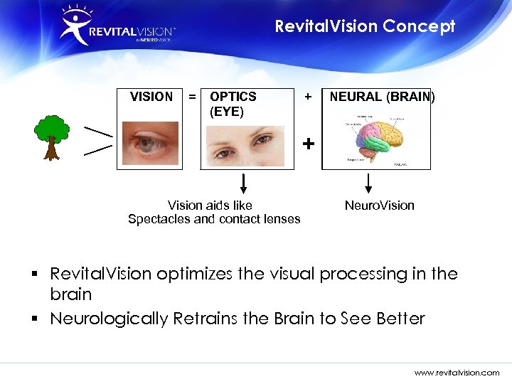 Revital. Vision Concept VISION = OPTICS (EYE) + NEURAL (BRAIN) + Vision aids like