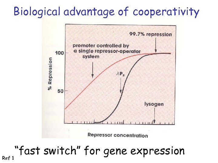 Biological advantage of cooperativity Ref 1 “fast switch” for gene expression 