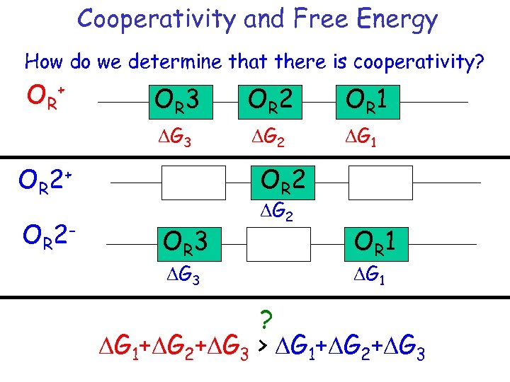 Cooperativity and Free Energy How do we determine that there is cooperativity? OR+ OR