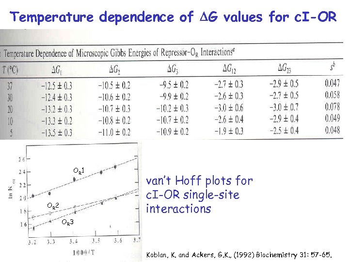 Temperature dependence of DG values for c. I-OR OR 1 OR 2 van’t Hoff