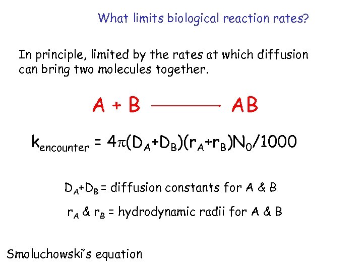 What limits biological reaction rates? In principle, limited by the rates at which diffusion