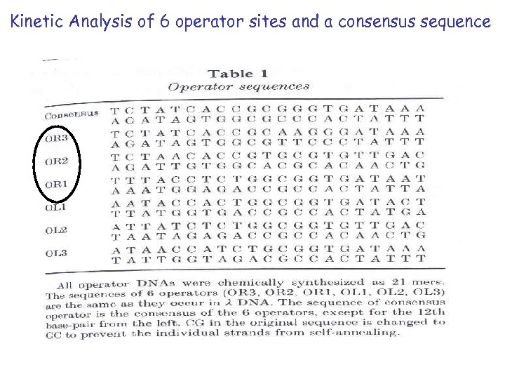 Kinetic Analysis of 6 operator sites and a consensus sequence 