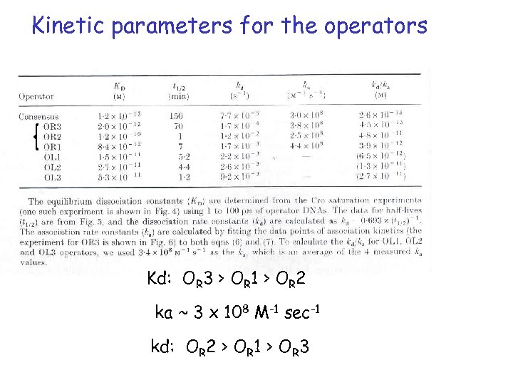 Kinetic parameters for the operators Kd: OR 3 > OR 1 > OR 2