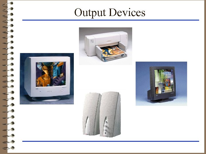 Output Devices 