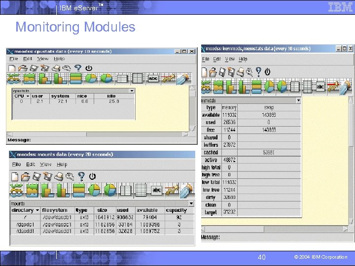 IBM e. Server™ Monitoring Modules 40 © 2004 IBM Corporation 