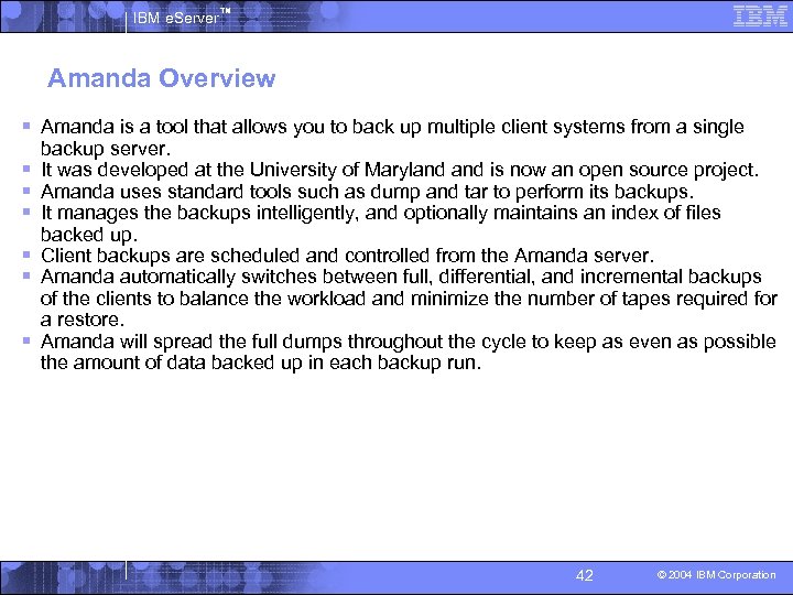 IBM e. Server™ Amanda Overview § Amanda is a tool that allows you to