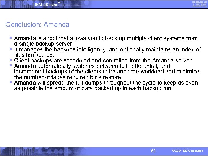 IBM e. Server™ Conclusion: Amanda § Amanda is a tool that allows you to