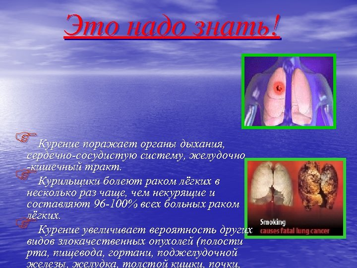 Это надо знать! FКурение поражает систему, желудочно органы дыхания, сердечно-сосудистую -кишечный тракт. FКурильщикичаще, чемраком
